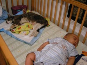 After being struck by a car in early summer, 2009. While on pain medication, Spaz didn't mind sharing space with a baby.